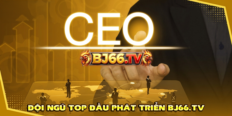 Đội ngũ CEO BJ66 phát triển nền tảng