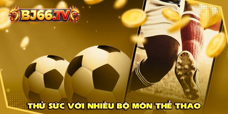 Nhiều bộ môn cá cược thể thao tại BJ66