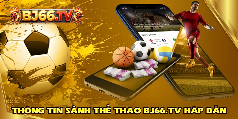 Sảnh cá cược thể thao BJ66